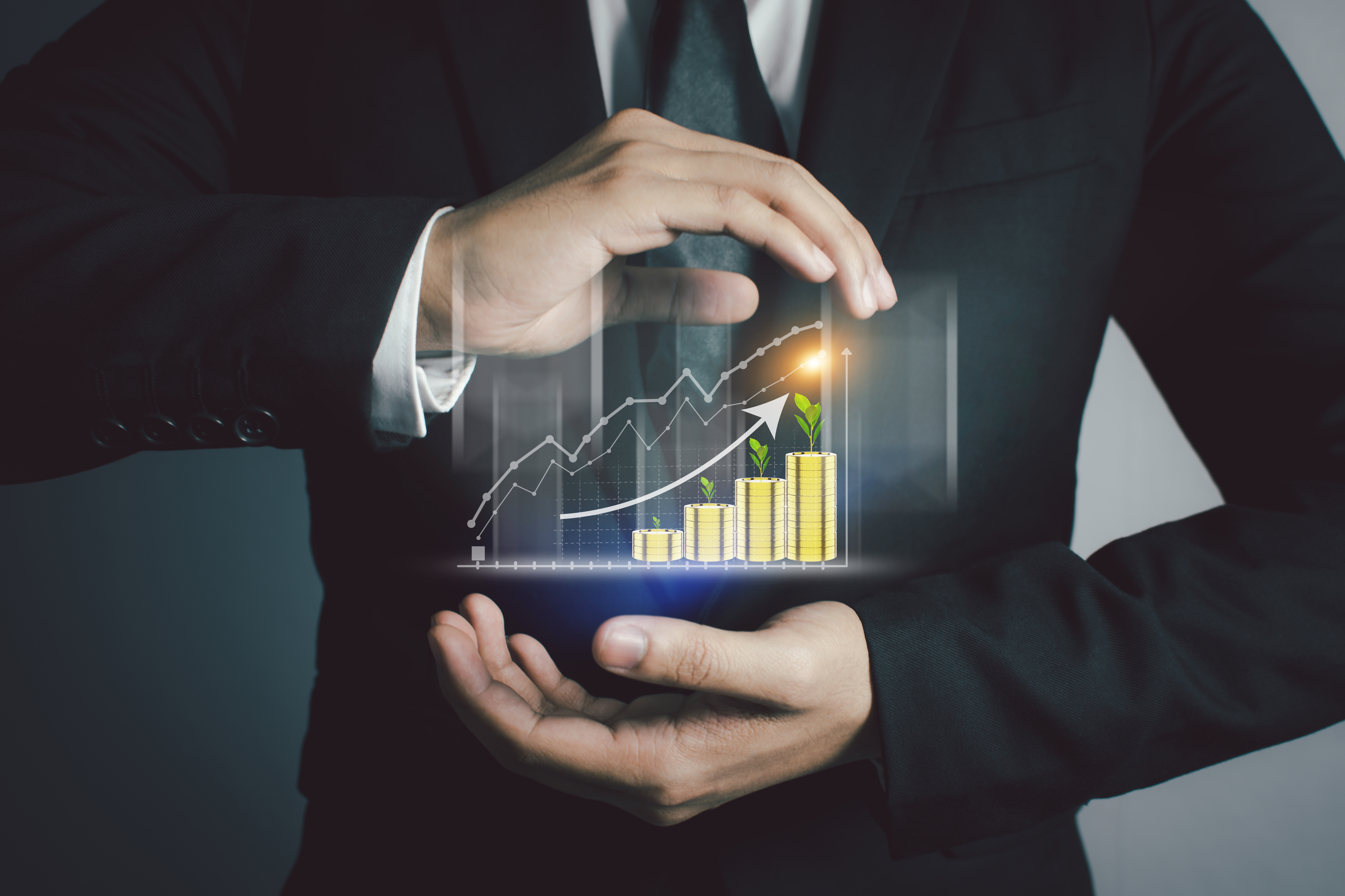 Chartered Accountant Firm in India